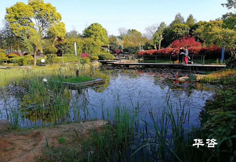 生態(tài)保護(hù)、建設(shè)用地、城鎮(zhèn)發(fā)展影響專題研究報(bào)告案例_華咨基于公路前期專項(xiàng)評(píng)估一站式服務(wù)的優(yōu)勢(shì)剖析