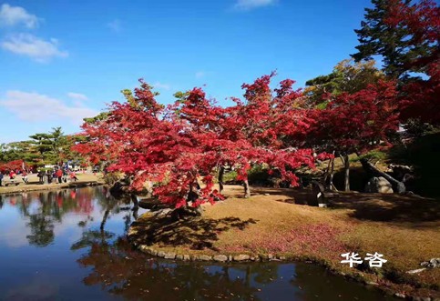 華咨水資源論證科技：創(chuàng)新論證方式，提升水資源利用效率