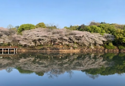 江西省專業(yè)交通技術(shù)服務(wù)公司_華咨航評和交評的核心優(yōu)勢有哪些？