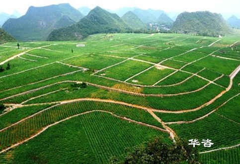 湖南省工程建設(shè)項(xiàng)目編制地質(zhì)災(zāi)害評估報(bào)告的積極意義